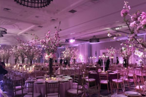 Wedding & Event Services