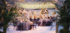 Best Indian wedding sound and lighting