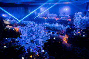 Indian wedding lighting and sound