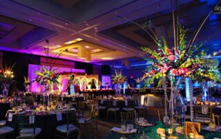 luxury indian wedding entertainment